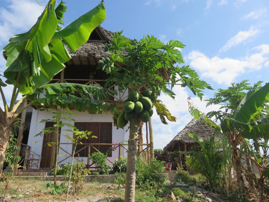 Kilimani House Bed & Breakfast Nungwi Exterior photo